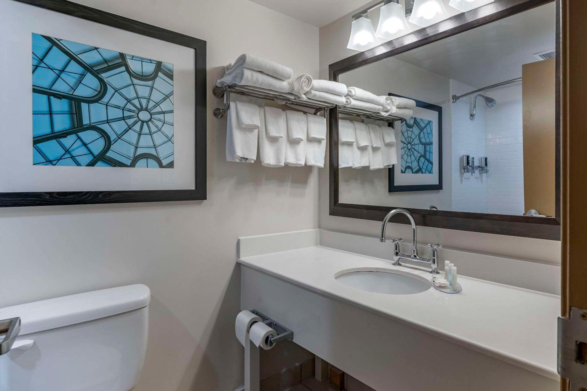 Quality Inn Lexington -Horse Park Dış mekan fotoğraf